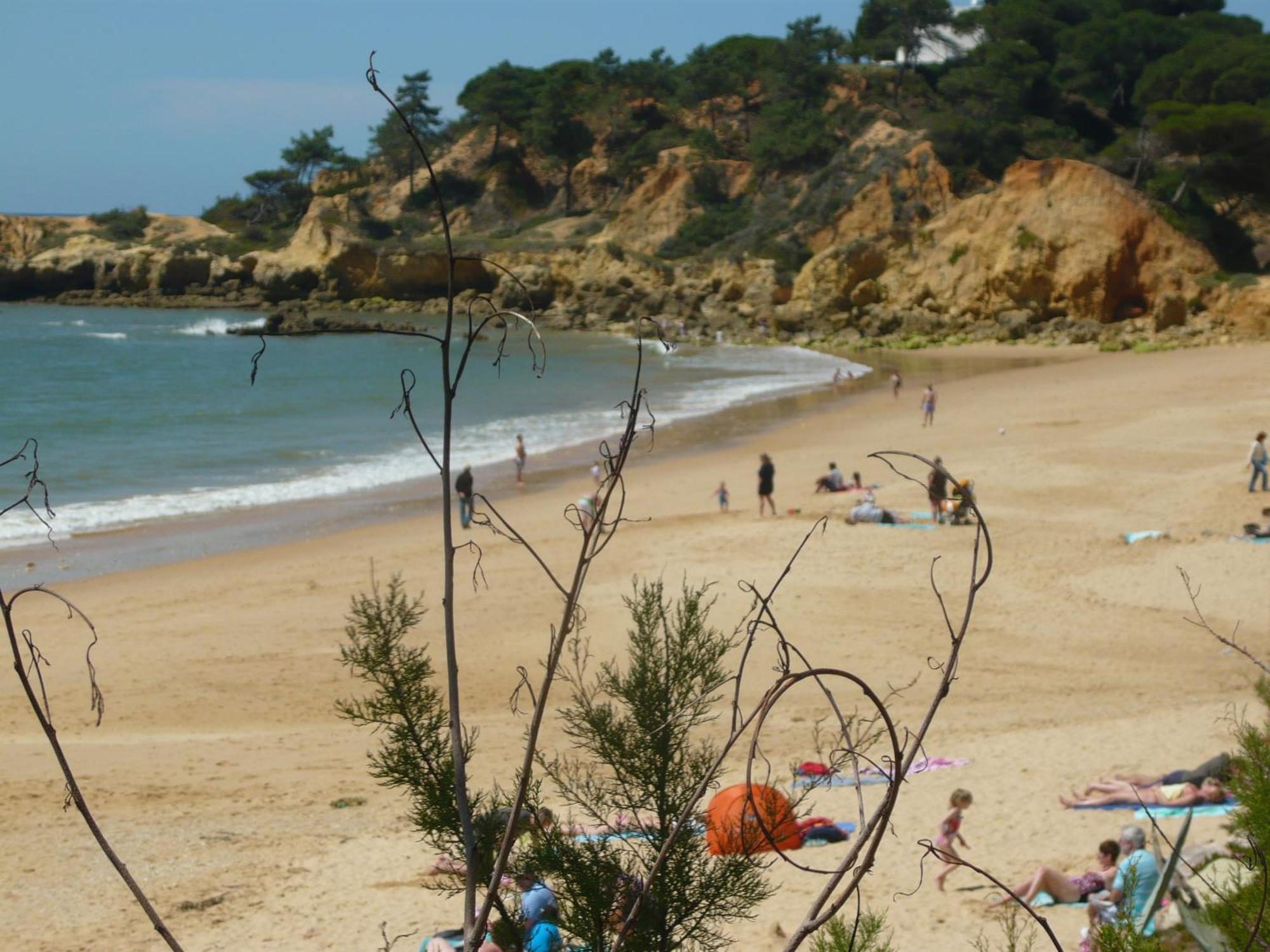 Agua Marinha Rosa- Hotel Albufeira Buitenkant foto